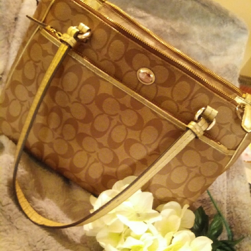 Lg Coach Purse